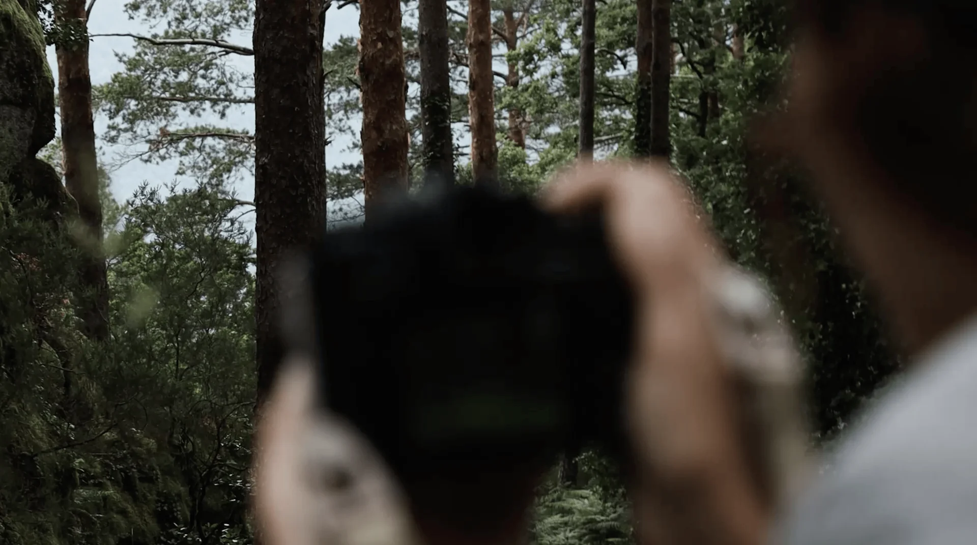 Precision Gear for Boundless Creativity