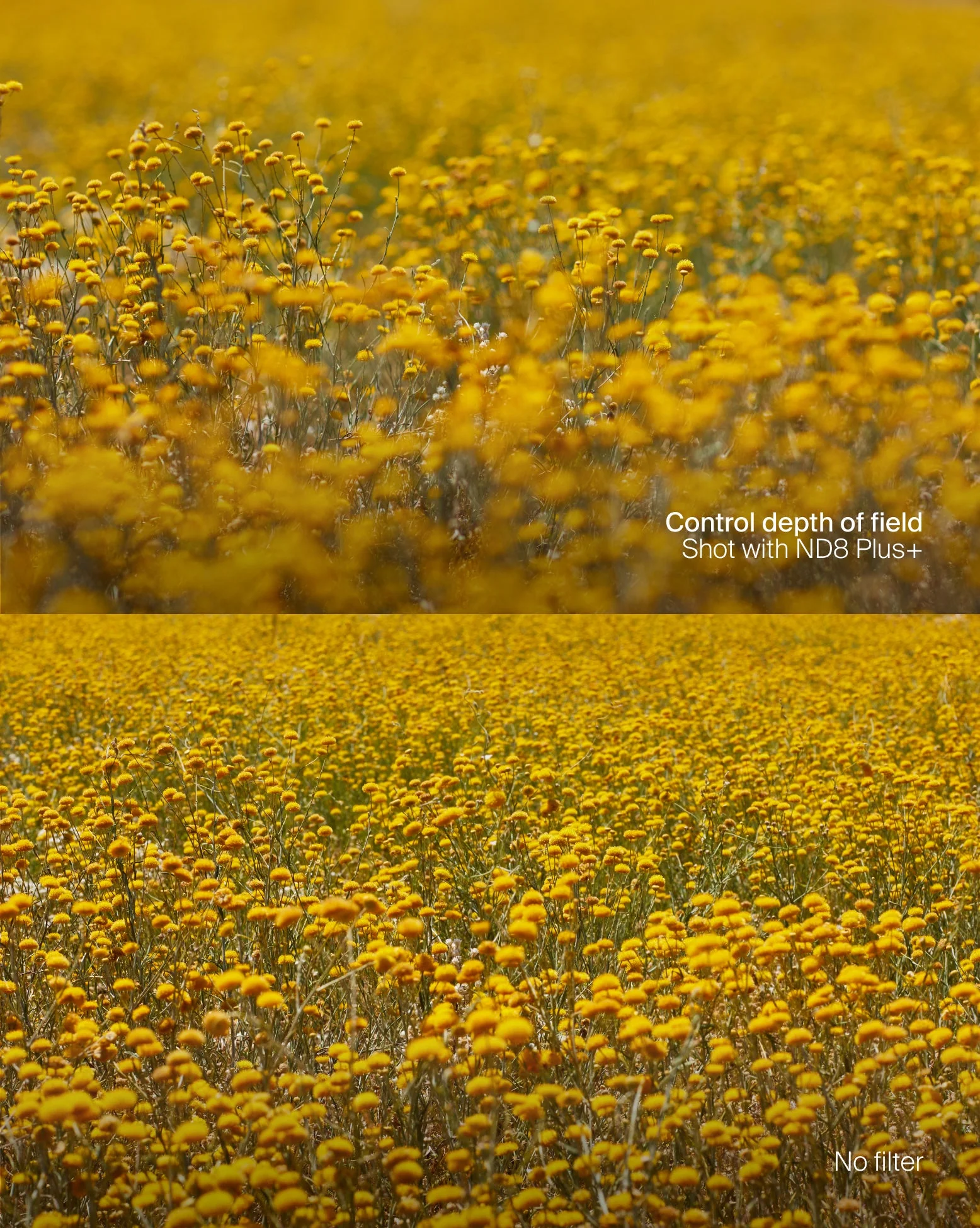 ND Selects Filter Kit Plus - Image 5